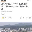 고층 아파트서 추락한 10살 초등생…이를 모른 엄마는 아들 찾아 다녀 이미지