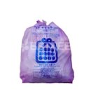 경북애견 이미지