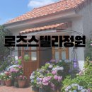 계양역카페 로즈스텔라정원 수국 시즌 방문 후기