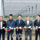 월평태양광발전소 이미지