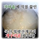 ♡농장직접판매♡직접 기른 국산 식용개구리(生) 드셔보세요 ~ ^^ ＜사은품 증정＞ 이미지