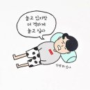 35짤의 그저그런 일상