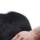 과천밸런스마취통증의학과의원