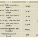 란커피 이미지