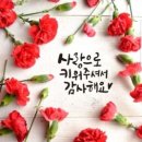 텀블랜드 이미지