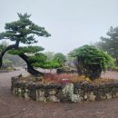 산새 | 제주 가볼만한 곳 제주수목원 돌낭예술원