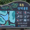 삼박곡 이미지