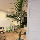 김지윤스튜디오 이미지