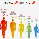 핫톡 고주파 발체온기 이미지