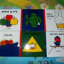 현이네전집 이미지