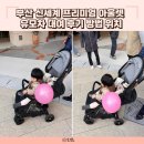 부산 기장 신세계 프리미엄 아울렛 유모차 대여 후기 방법 위치