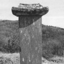 권희 묘 이미지