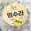 리드펫 이미지
