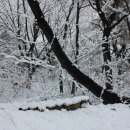 우장산근린공원 이미지