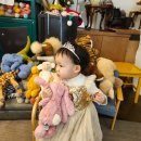 나무와 돌 | 아기 두돌기념촬영 용산 감나무사진관에서 내돈내산 촬영후기