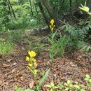 금대농장 이미지