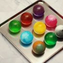 동그리솝 이미지