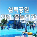 블루25 워터파크 (삼락야외수영장) 이미지