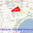 비디오션