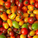 엠베이스짐 이미지