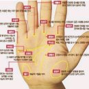 인 안경 이미지