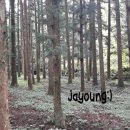 대한다원화장실 이미지