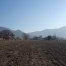 고려대학교 덕소농장 이미지