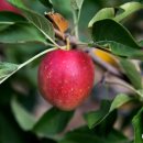 (주)아리수미디어 이미지