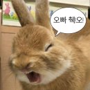 굿피 | W.2 베리굿웨딩 플래너 스드메 상담 &amp; 주드쥬얼리 웨딩밴드 후기 플래닝피 견적공유