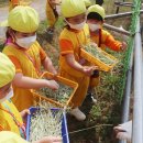 둥이목장 이미지