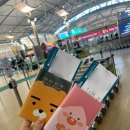 [24 호치민 여행] 베트남항공 / VN409 , VN402 / 이코노미 클래스 / 온라인 체크인 / 기내식 후기