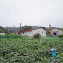 마산리경로당 이미지