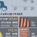 돈미향 이미지