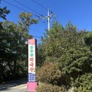 강원도막국수 | [강원도 고성 막국수 맛집] 동루골 막국수 내돈내산 후기!