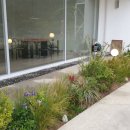 브루다 양주 이미지