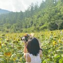 강산목장 이미지