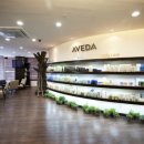 포레스타 이미지