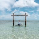 비키니 아일랜드(BIKINI ISLAND) 이미지
