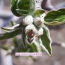 진성농장 이미지