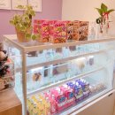 하이뭉하 이미지