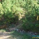 신거제주유소 이미지