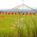 친환경쌀재배단지내 허수아비전시 이미지