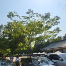 진양호캐리비안워터파크 이미지