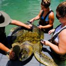 (주)거북 이미지