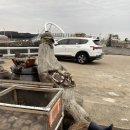 금성브릿지 민박 이미지