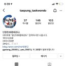 금오태권도 이미지