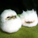 개구리PC방 이미지