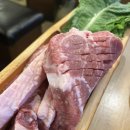 나노갈매기 이미지