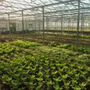 충실농장 이미지