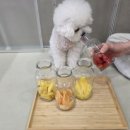 댕동댕 유치원 이미지